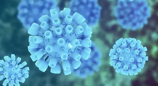 Hepatitis B 2