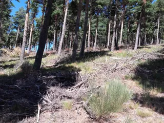 Embalse de Navamuño