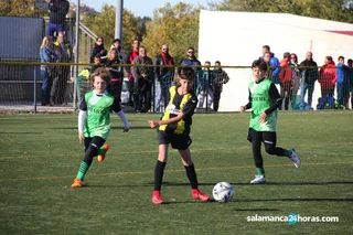 IMG 3567