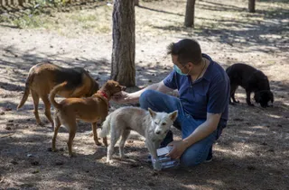 Zona de esparcimiento para perros en el parque de los Jesuitas | Susana Martín Agencia ICAL