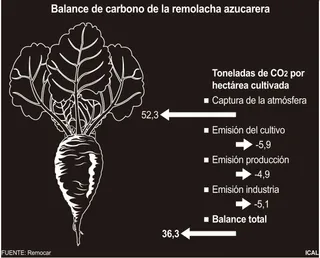Balance de carbono de la remolacha azucarera. | ICAL