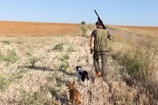 Cazador Con Su Perro En El Arranque De La Temporada De Caza Menor General | Foto Agencia ICAL