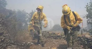 Calcinadas casi tres hectáreas de arbolado en Pelayos