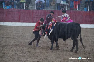 Corrida de rejones de Ledesma (160)