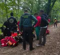 La picadura de una avispa asiática obliga a evacuar a un senderista en Cepeda