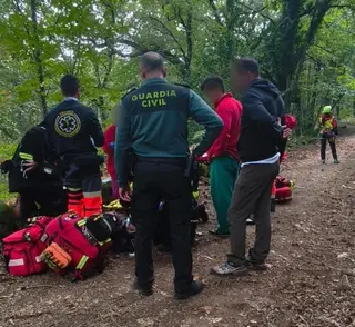 La picadura de una avispa asiática obliga a evacuar a un senderista en Cepeda