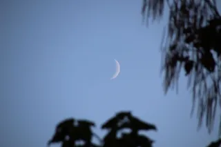 Luna