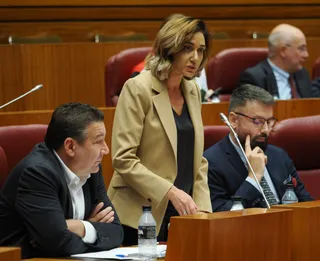 La procuradora de Unión del Pueblo Leonés (UPL) Alicia Gallego