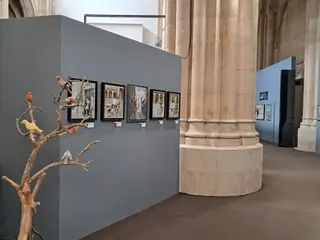 Exposición Santos Baras de Alba de Tormes