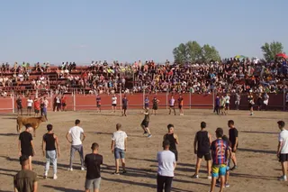 Capea popular Santa Marta de Tormes (1)