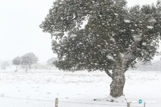 Nieve carretera tráfico (3)