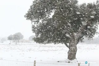Nieve carretera tráfico (3)