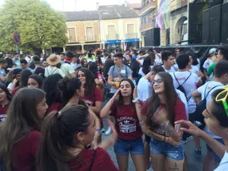 Fiestas Peñaranda de Bracamonte 2016: Peñas