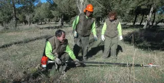 Subvención de casi 1,8 millones de euros para estimular el empleo en la provincia