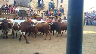 Encierro a caballo en Aldeadávila