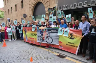 Juicio por el atropello Estela