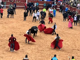 Ambiente y capea vespertina Sábado de Carnaval en Ciudad Rodrigo 2025