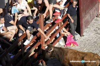 Novillada en la alberca (47)