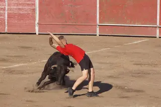 Capea con vaquillas de Santa Marta de Tormes. FOTOGRAFÍA JUANES