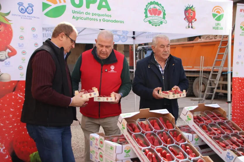 UPA Salamanca, Castilla y León y Huelva reparten más de mil tarrinas en Salamanca en apoyo a la campaña #YoComoFresasdeHuelva