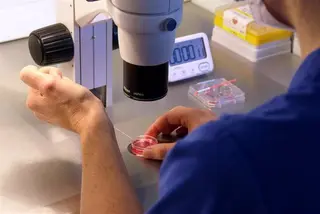 Laboratorio, espermatozoides. Foto Infosalus