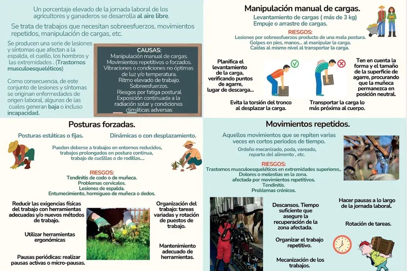PrevencionRiesgos2