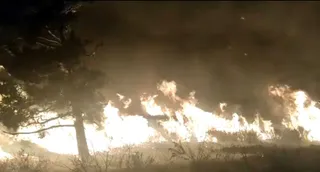 Incendio Marrubio, en Castrillo de Cabrera. Foto:| Incendios Forestales CYL