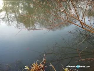 Vertido en Alba de Tormes (11)
