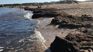 Playa con algas