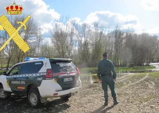 La Guardia Civil sorprende a tres hombres cazando con galgos de forma ilegal en Macotera. Guardia Civil de Salamanca