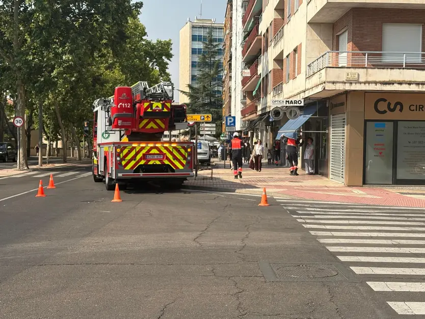 Bomberos En Una Actuación En El Paseo De San Vicente3