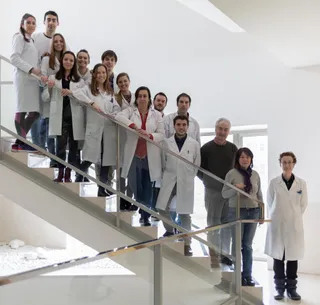 Científicos del Centro del Cáncer de la USAL investigan el uso combinado de un nuevo fármaco para mejorar la eficiencia de algunos tratamientos de cáncer de mama