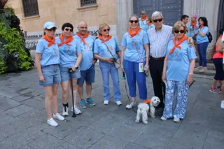 Marcha Solidaria por la Esclerosis Múltiple
