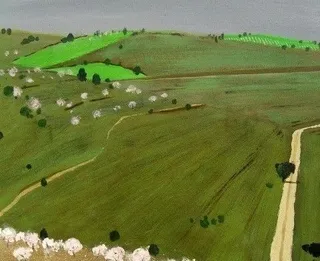 El campo salmantino, a través de la visión de David Pearson