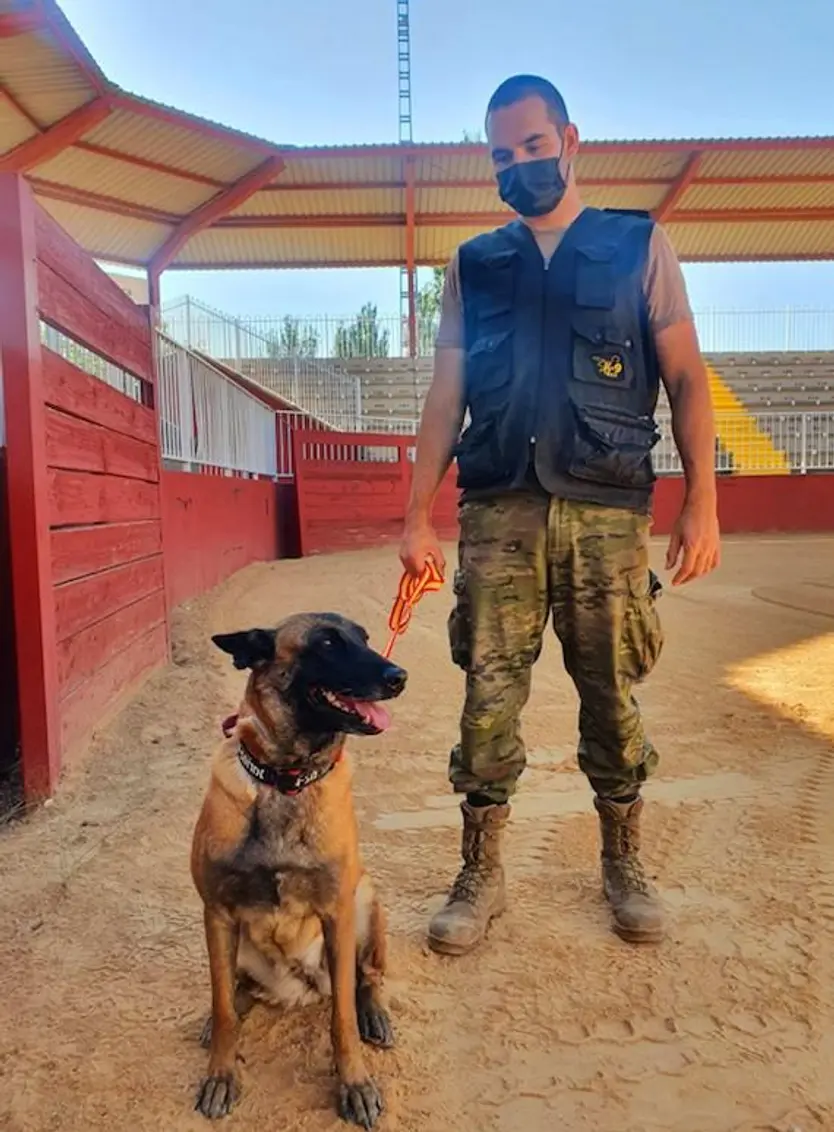 Mora, ejemplar criado en el CMCC de Ávila