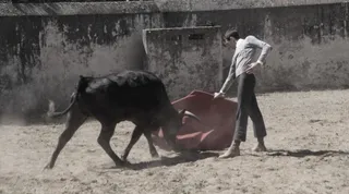 Tentadero en Clairac