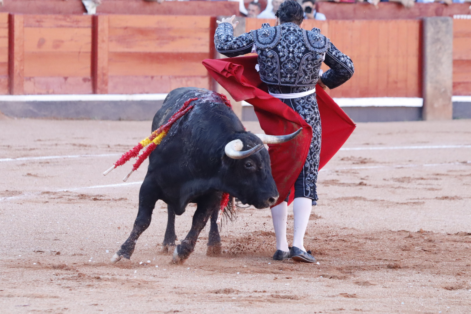 Morante De La Puebla en Salamanca | Asier Galache