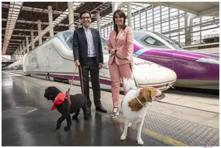 Renfe llevará a cabo una prueba piloto para viajar con perros de hasta 40kg en trenes AVE-Larga Distancia