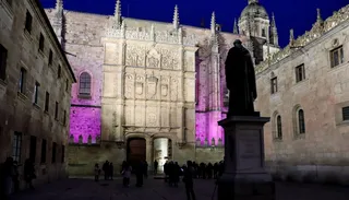 Fachada de la Universidad iluminada por el 8 M. FOTO USAL