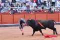 Adelaida Rodríguez en Salamanca | BMF TOROS