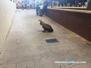 204596