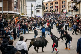 Miles de personas asisten a la celebración del Toro de San Sebastián en Ciudad Rodrigo (Salamanca) | Vicente (Ical)