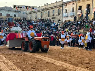 Desfile de carrozas Ciudad Rodrigo (10)