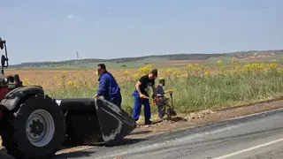 Un vehículo pierde parte de su carga, restos de vísceras, en la carretera de Vecinos | Andrea Mateos