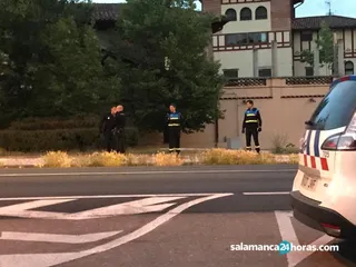 Padre Damián Suceso 1
