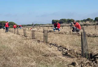 Cruz Roja planta árboles en Medina del Campo. | ICAL