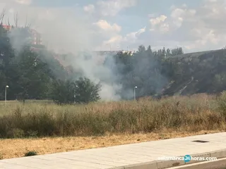 Incendio tejares (22)