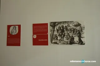 Exposicion lactancia (13)