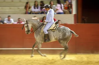 Caballo