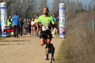 Una de las pruebas de canicross celebradas en Salamanca. 